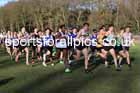 Junior mens 2025 Northern Cross Country Champs, Tatton Park, Knutsford, Cheshire. Photo: David T. Hewitson/Sports for All Pics